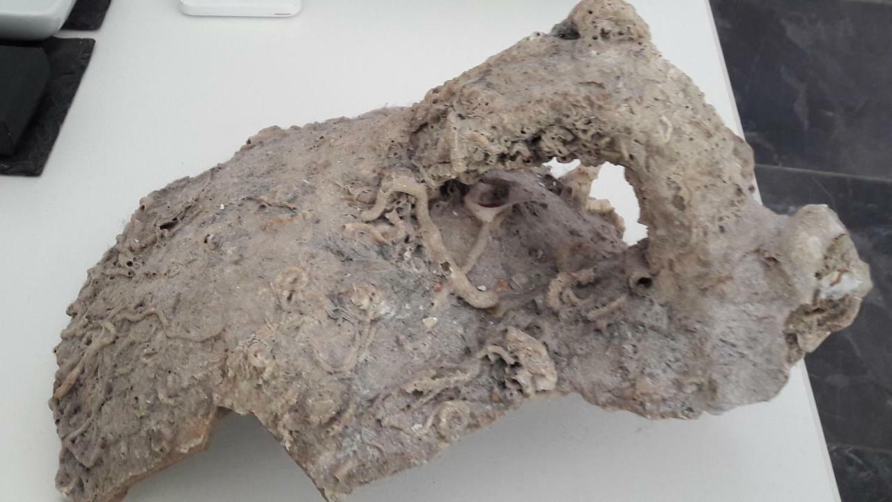 Apartman Amphora Σπλιτ Εξωτερικό φωτογραφία